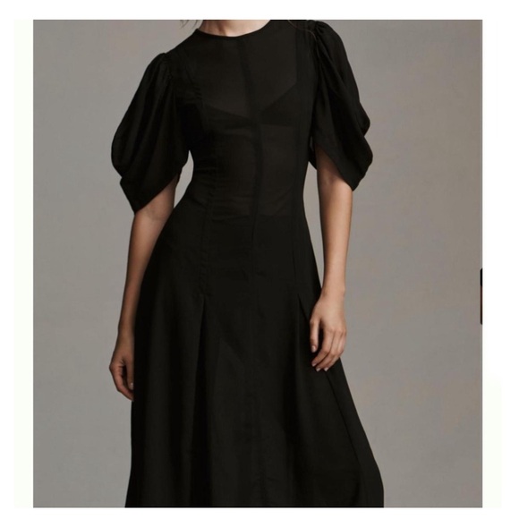Anthropologie Modern Sheer Midi Dress - Picture 8 of 15